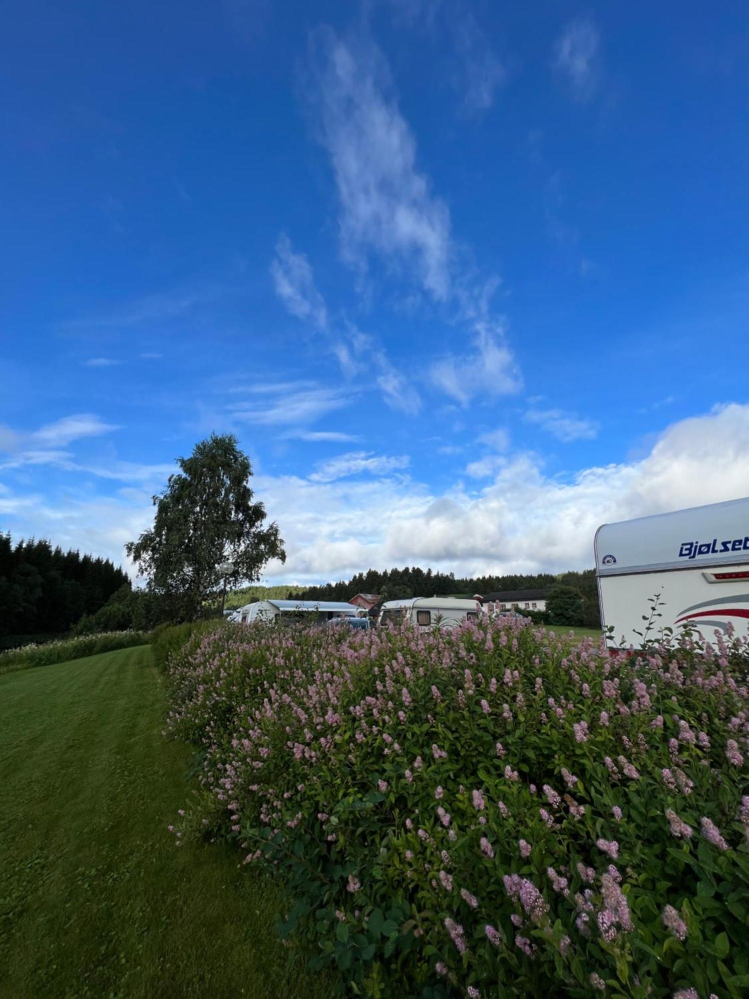 Gullvag Camping Nyberg Soknedal Экстерьер фото